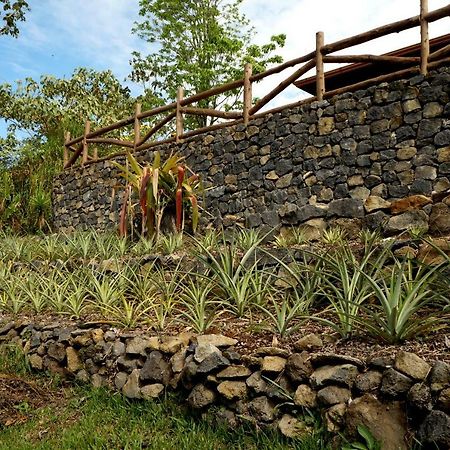 Bed and Breakfast Finca Estacion Descansos Paraíso Exterior foto